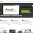 Wordpress Theme Avada Homepage